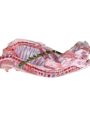 AGNELLO DI SARDEGNA IGP LT COSCE