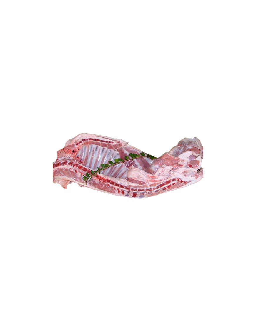 AGNELLO DI SARDEGNA IGP LT COSCE