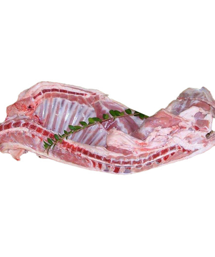 AGNELLO DI SARDEGNA IGP LT COSCE