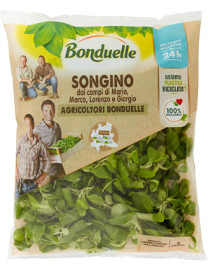 BONDUELLE SONGINO DEL CONTADINO G.80.                    X6