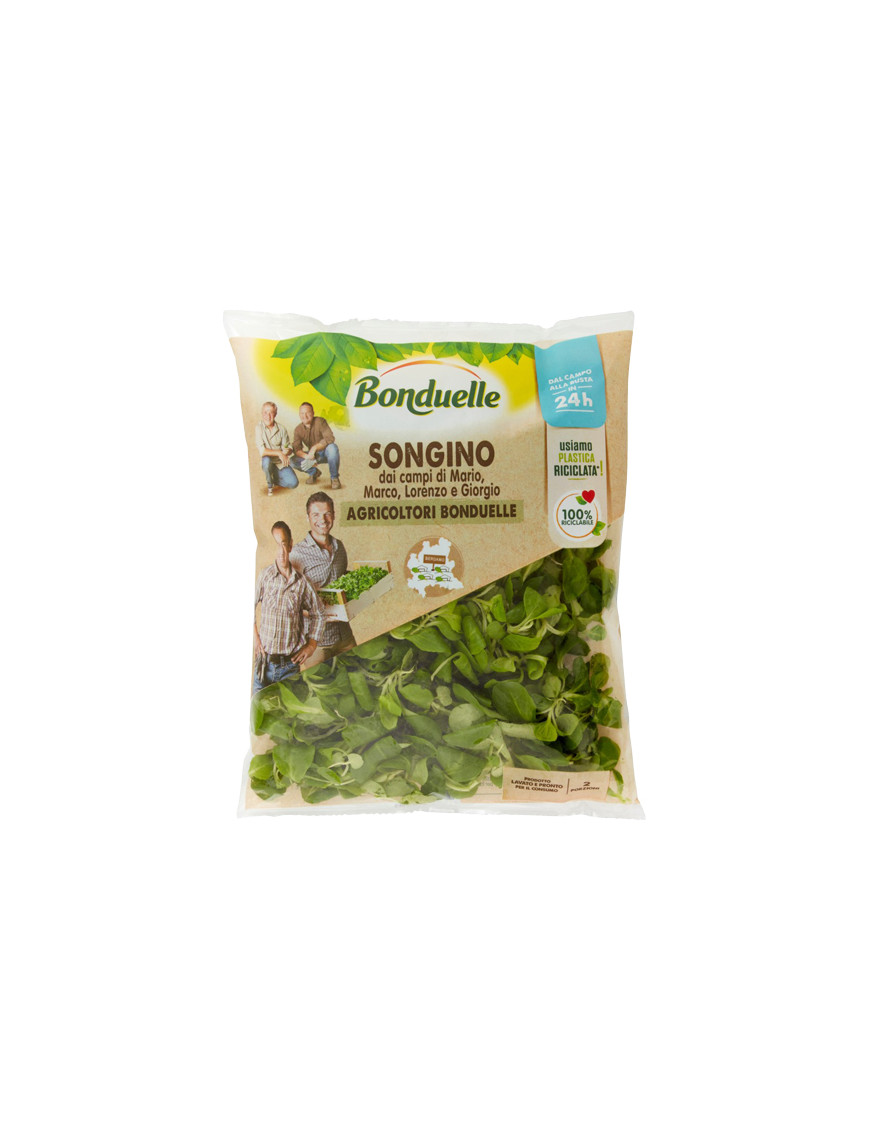 BONDUELLE SONGINO DEL CONTADINO G.80.                    X6