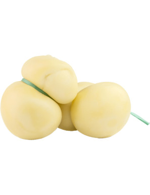 SANGUEDOLCE SCAMORZA APP.G.500VASCH.300