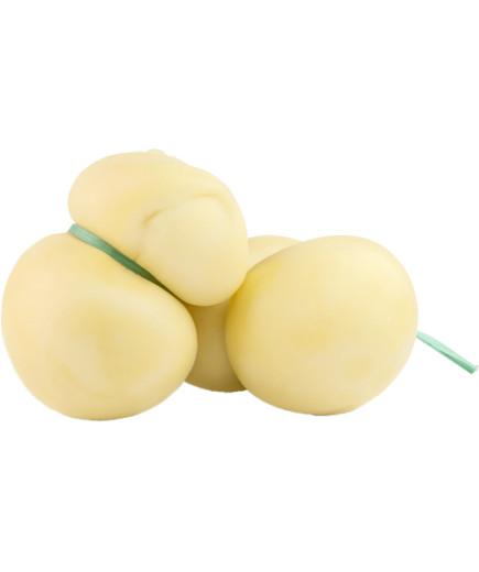 SANGUEDOLCE SCAMORZA APP.G.500VASCH.300