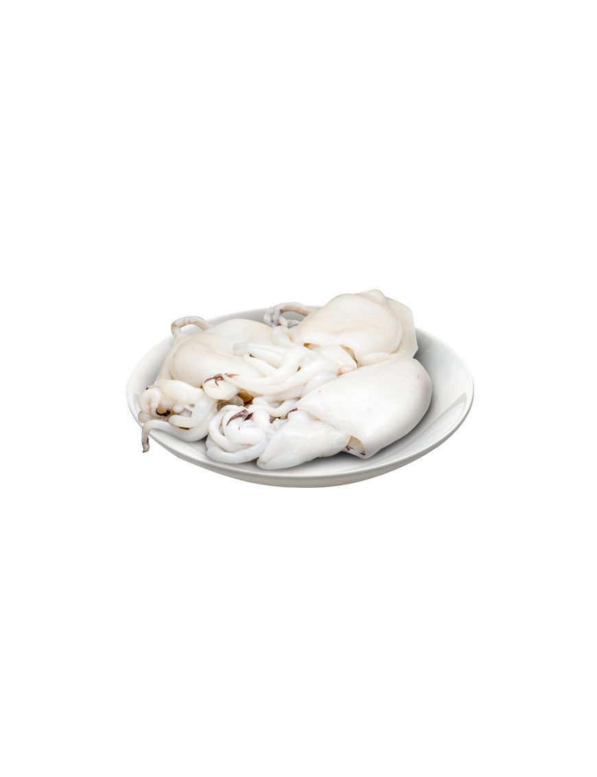 SEPPIA 300/500 FAO27 FRANCIA SEPIA OFFICINALIS CSX4KG SEL.