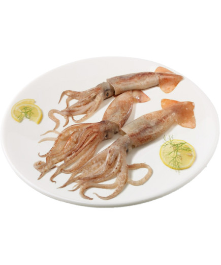 TOTANO FRESCO SPAGNA FAO 27ILLEX ILLECEBROSUS CSX4KG