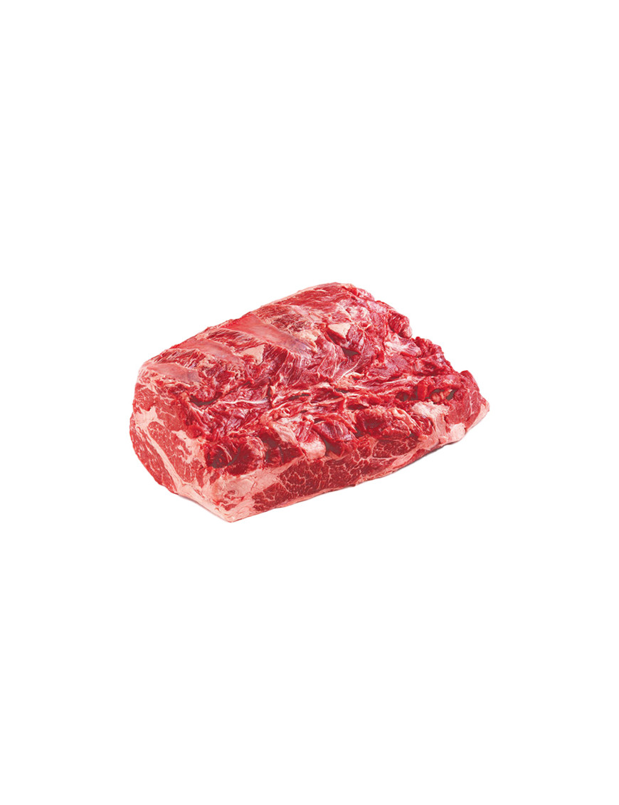 BOVINO ADULTO SCOTTONA CHUCK ROLL UNIKA