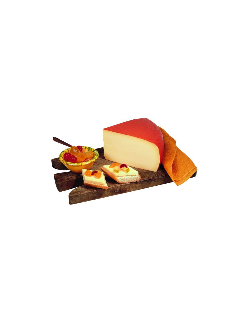 ALIMENTA FONTAL 1/4 KG.2,5                 (CT.X2PZ)  R