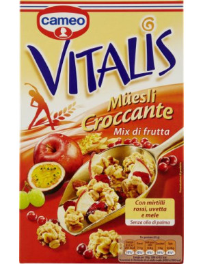 CAMEO VITALIS CROCCANTE MIXDI FRUTTA  G.310