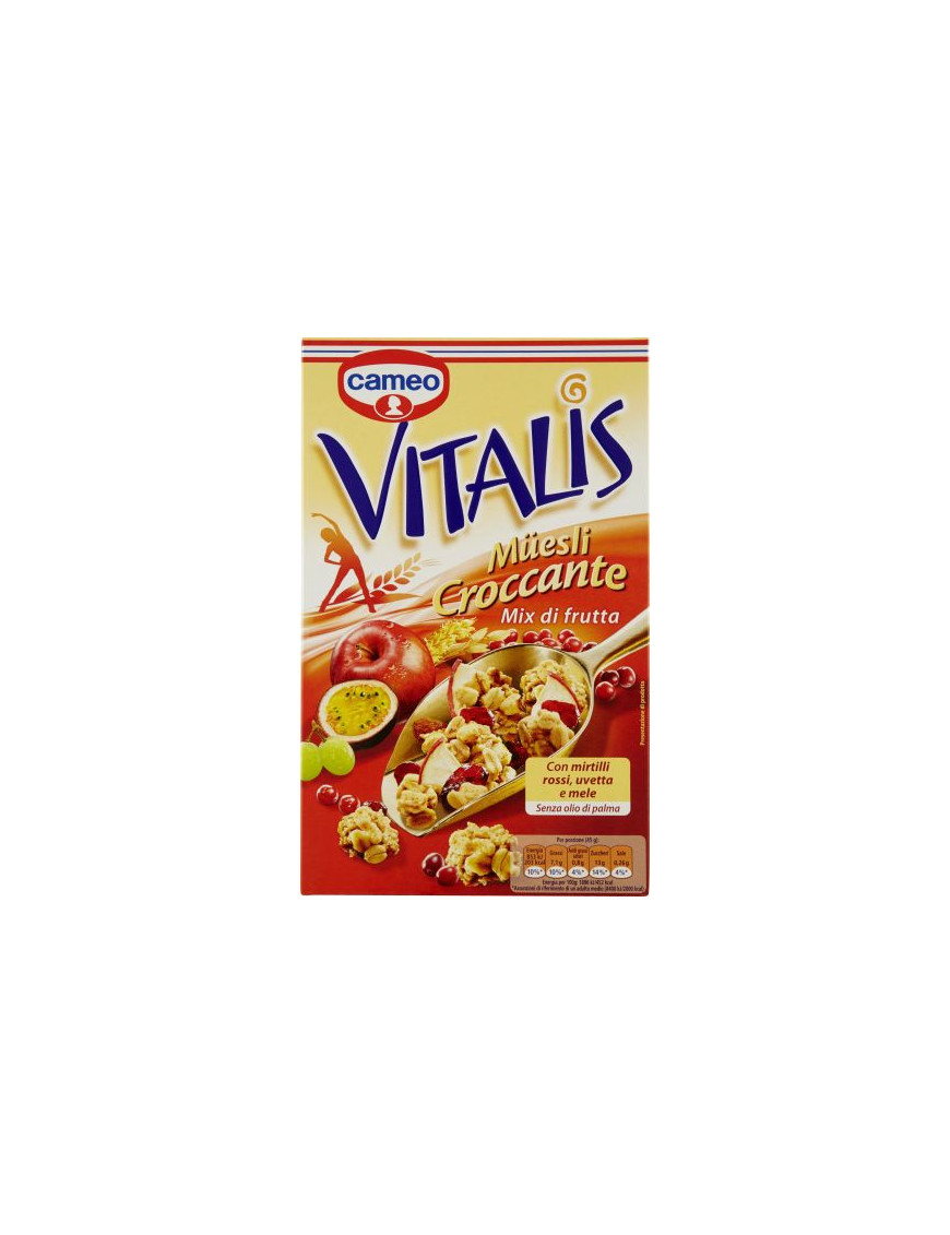 CAMEO VITALIS CROCCANTE MIXDI FRUTTA  G.310
