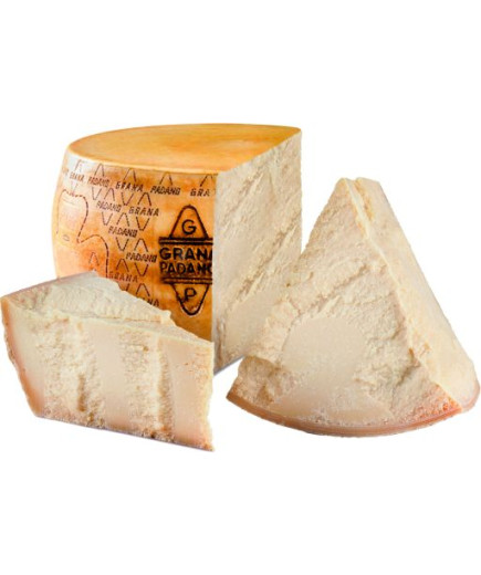 GRANA PADANO DOP FORMA KG.38 STAG. 10/11 MESI  (CTX1PZ)