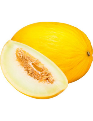 MELONE GIALLO BINS