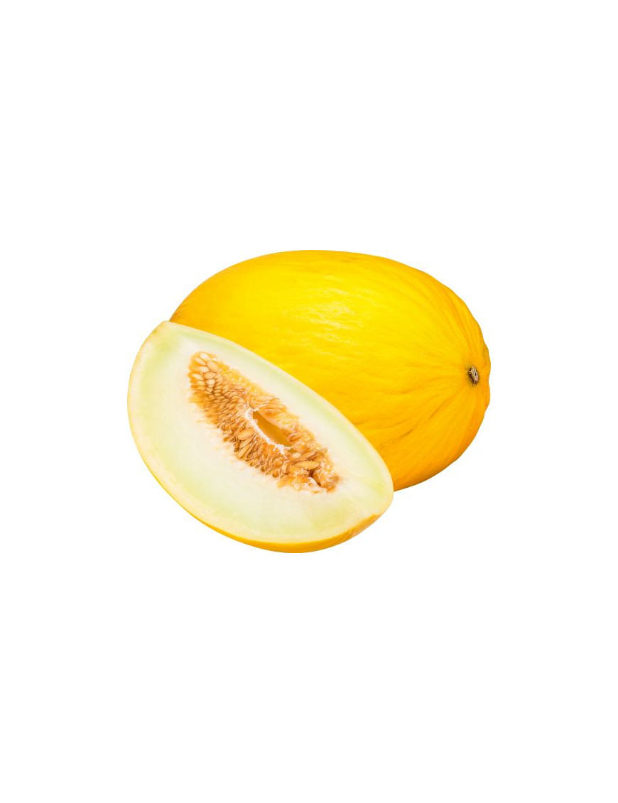 MELONE GIALLO BINS