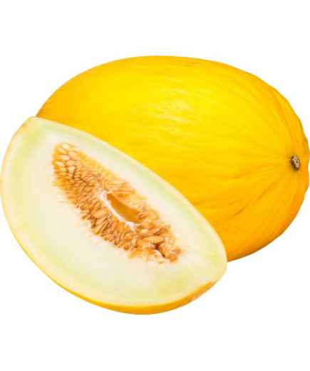 MELONE GIALLO BINS