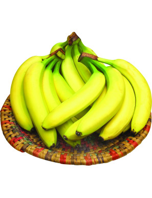 BANANE SF.
