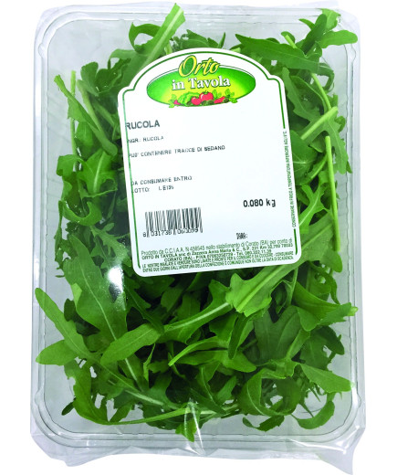 RUCOLA GR 100