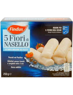Findus Fior Di Nasello gr.250