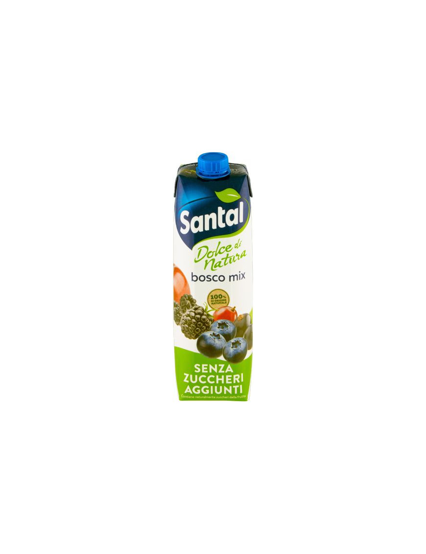 Santal Succo Bosco Mix Senza Zuccheri Aggiunti Brik lt.1