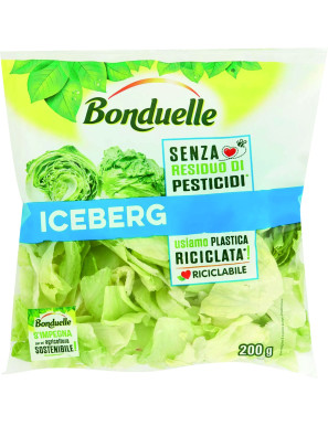 BONDUELLE ICEBERG BUSTA G.200                          X8