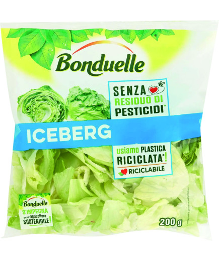 BONDUELLE ICEBERG BUSTA G.200                          X8