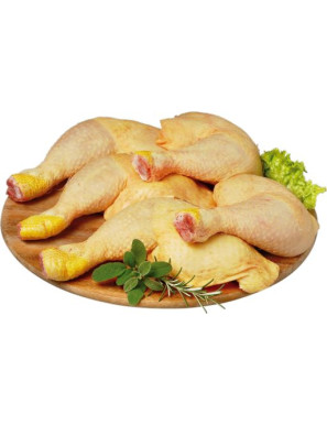 MARTINI COSCE POLLO CLUB ORO