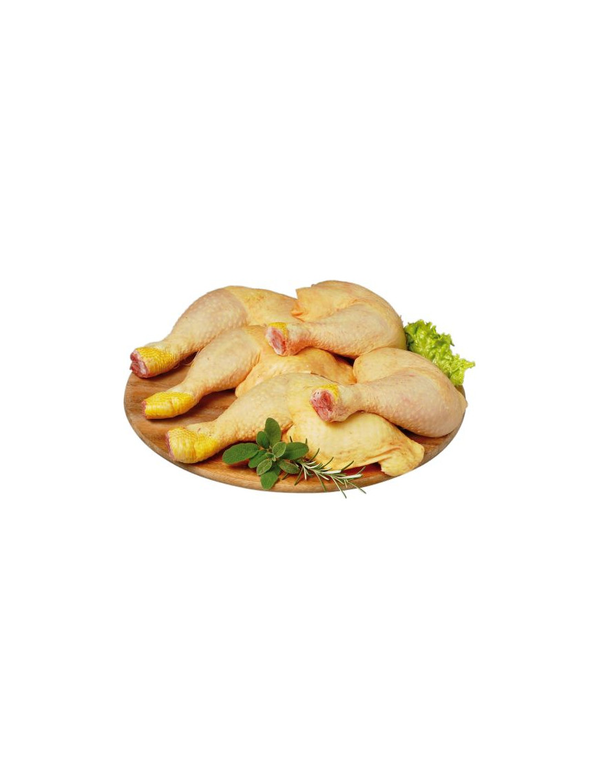 MARTINI COSCE POLLO CLUB ORO