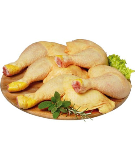 MARTINI COSCE POLLO CLUB ORO
