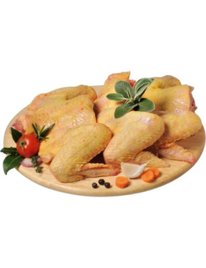 MARTINI POLLO ALI CLUB ORO