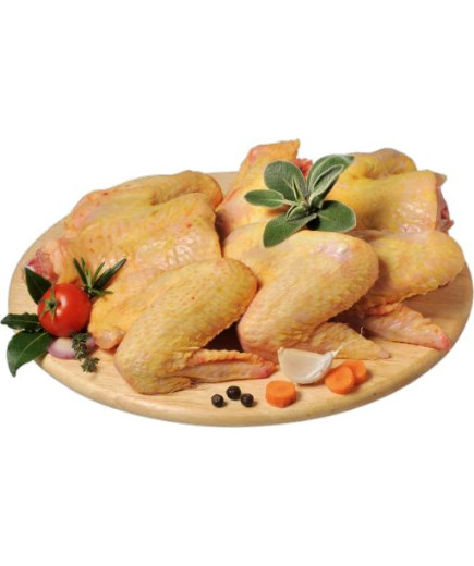 MARTINI POLLO ALI CLUB ORO