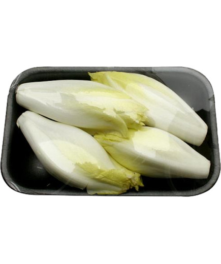 INSALATA BELGA GR 500