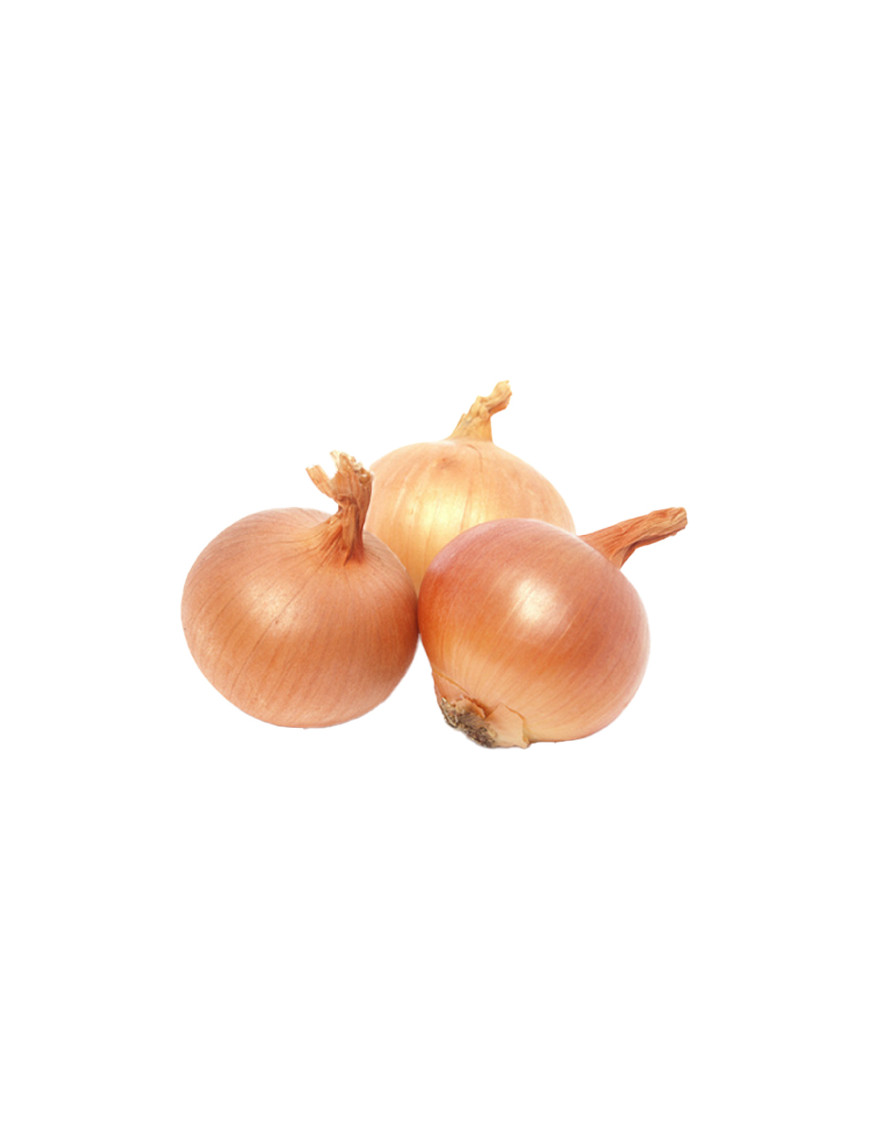 CIPOLLA DORATA SFUSA