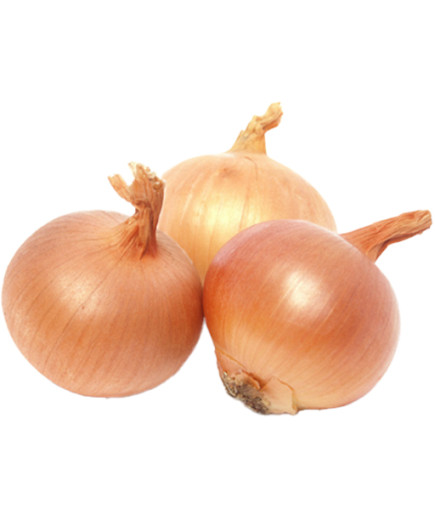 CIPOLLA DORATA SFUSA