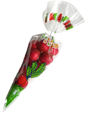 RAVANELLI POLY DEFOGLIAT.GR125