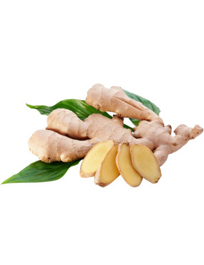 ZENZERO GINGER
