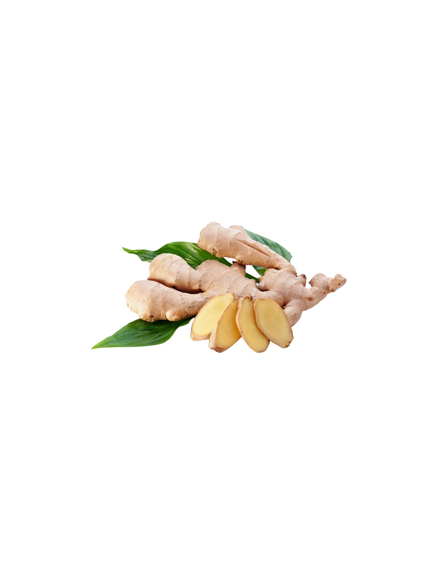 ZENZERO GINGER