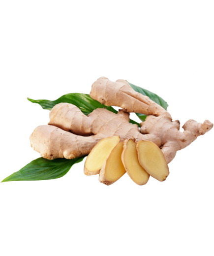 ZENZERO GINGER