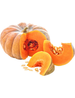 ZUCCA SF.