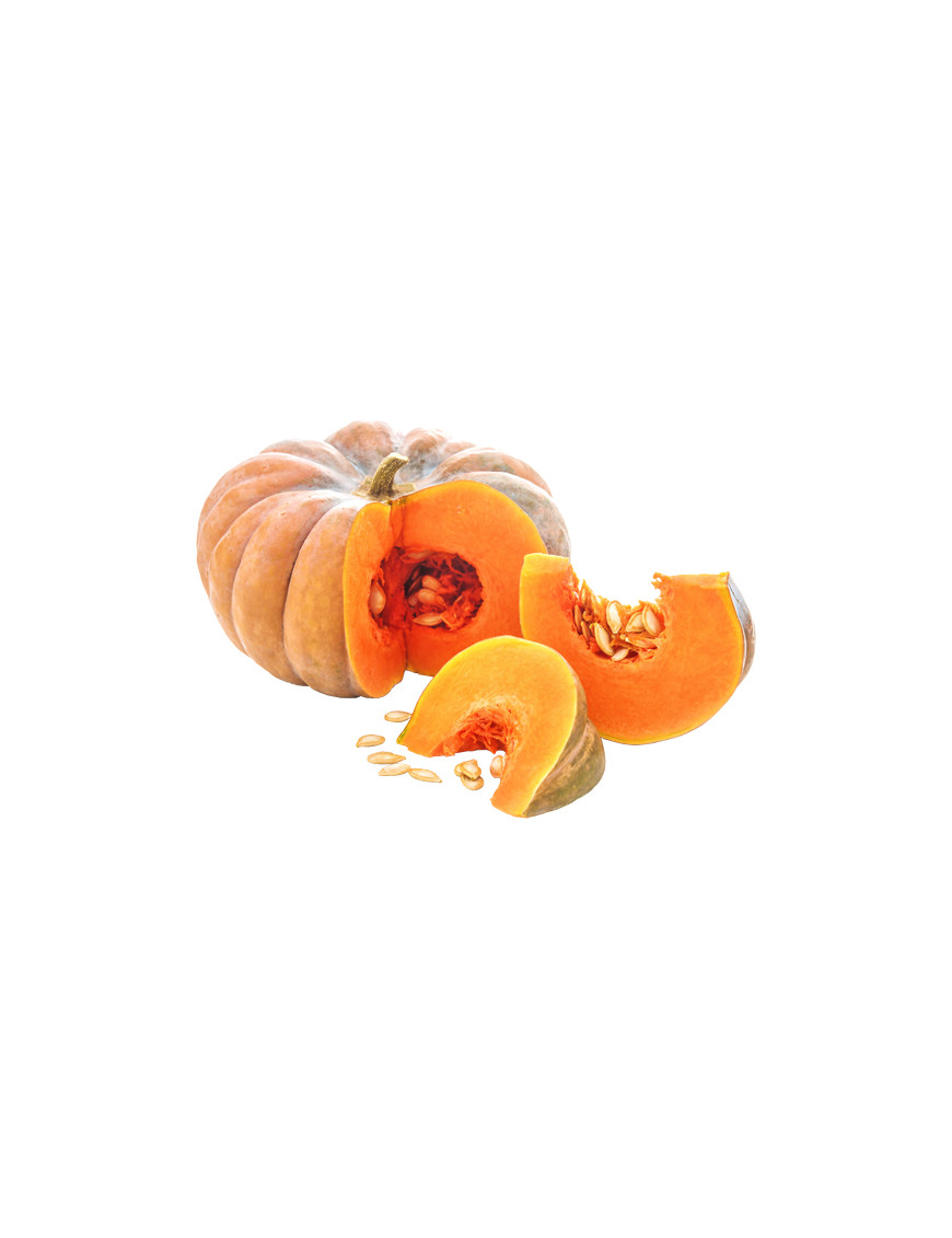 ZUCCA SF.