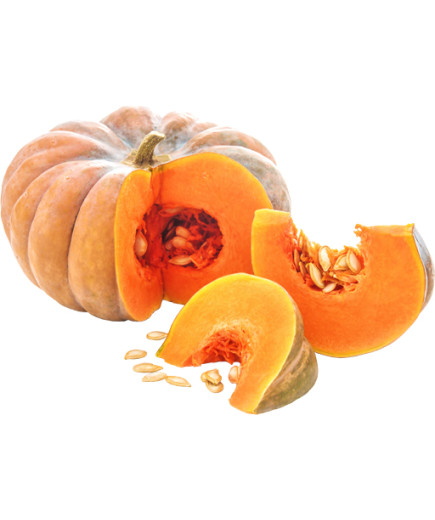 ZUCCA SF.