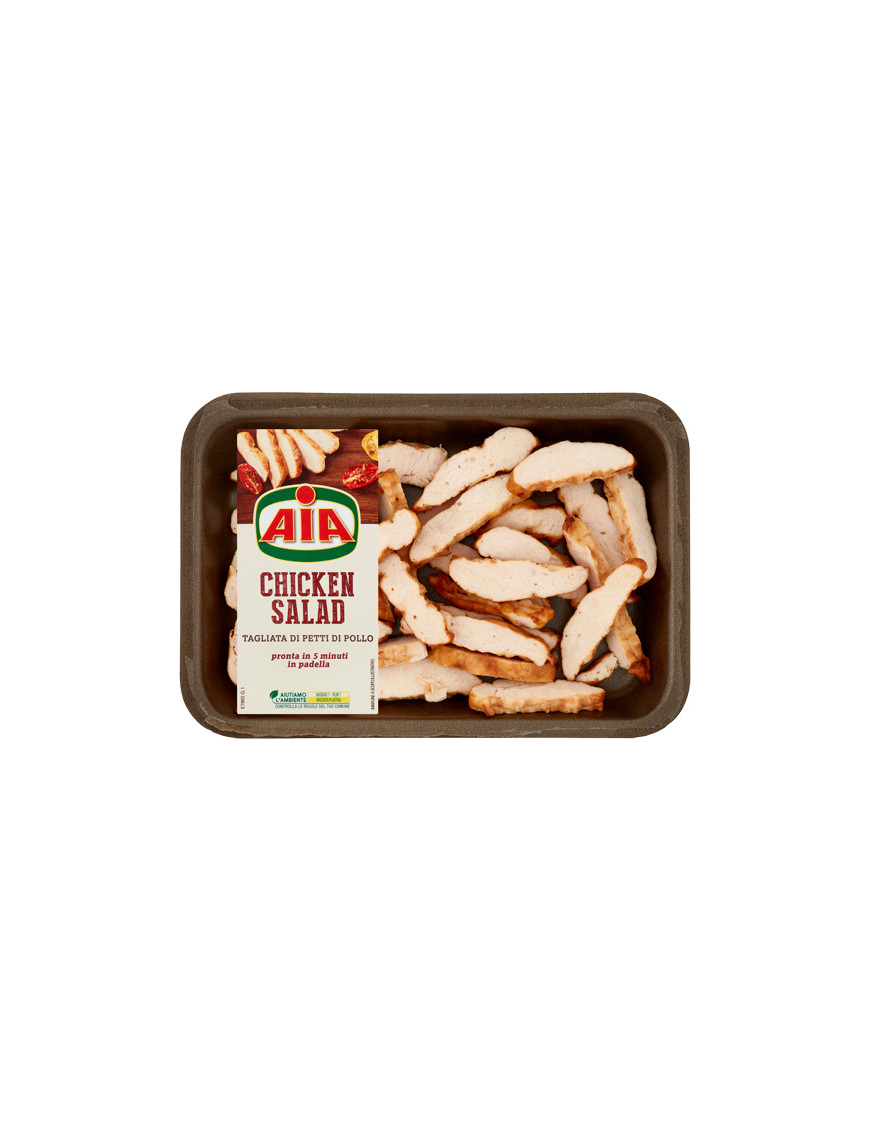 AIA CHICKEN SALAD G.300               [8PZ X CRT]