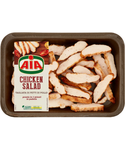 AIA CHICKEN SALAD G.300               [8PZ X CRT]