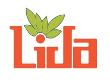 LID - LIDA