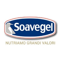 552 - SOAVEGEL